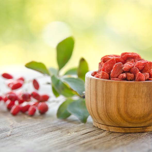 Goji Berry Goji Berry