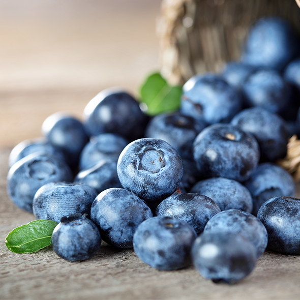 Blue Berry Blue Berry
