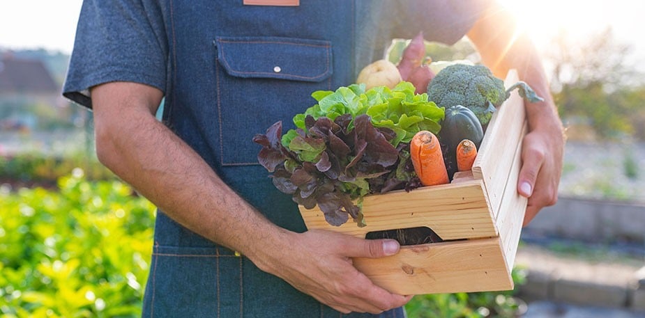 18 Ιουνίου: Παγκόσμια Ημέρα Βιώσιμης Γαστρονομίας