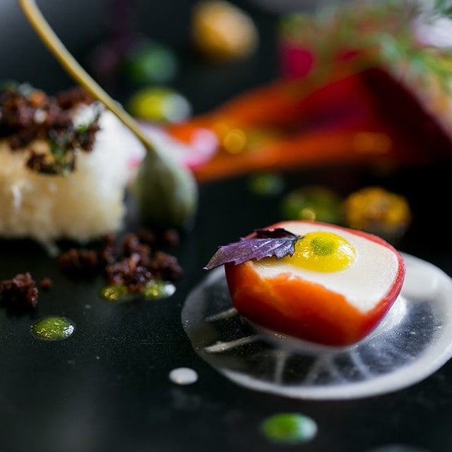 Όταν ο βιολόγος Paul Ralph Ehrlich συνάντησε τον χημικό Herve This.