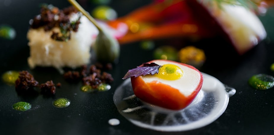 Όταν ο βιολόγος Paul Ralph Ehrlich συνάντησε τον χημικό Herve This.