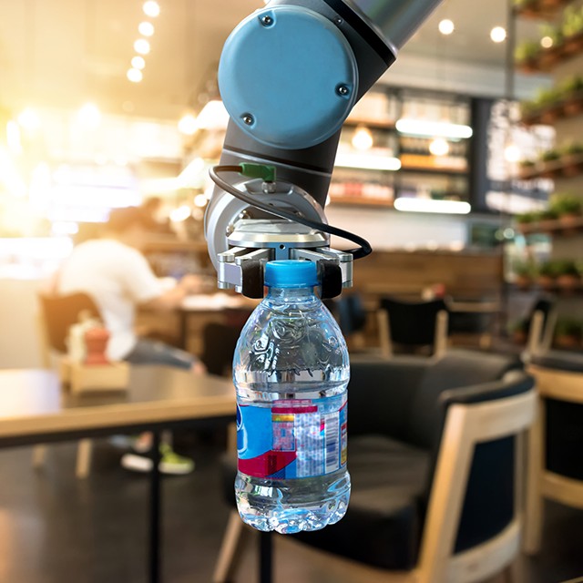 Σερβιτόροι Ρομπότ και Kοινωνική Kινητικότητα 