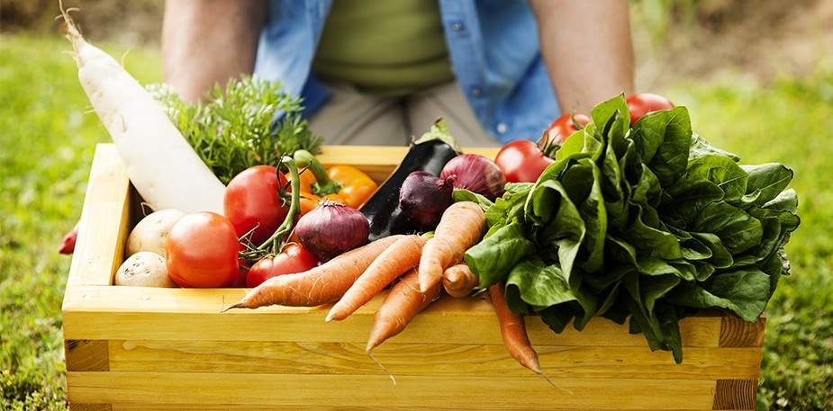 Πώς η Flexitarian διατροφή μπορεί να παίξει το ρόλο της στην προστασία του πλανήτη μας