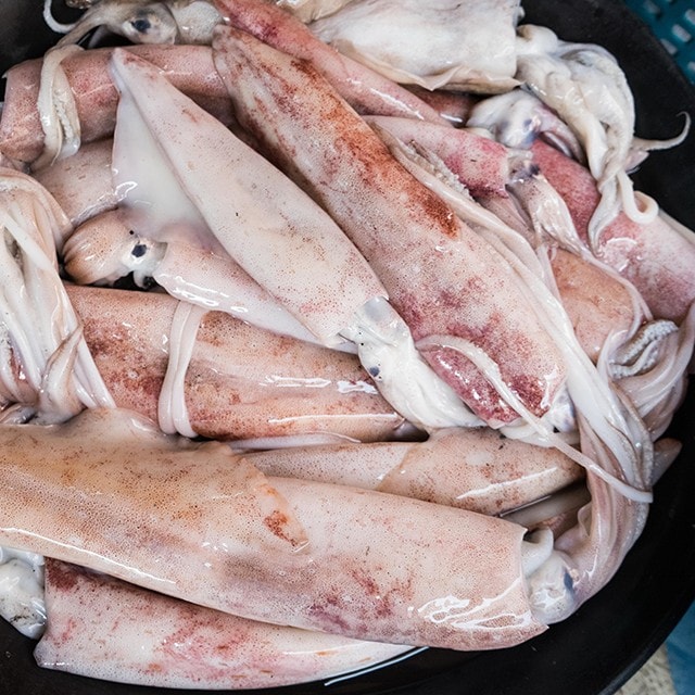 Λίγα λόγια για τη σουπιά 