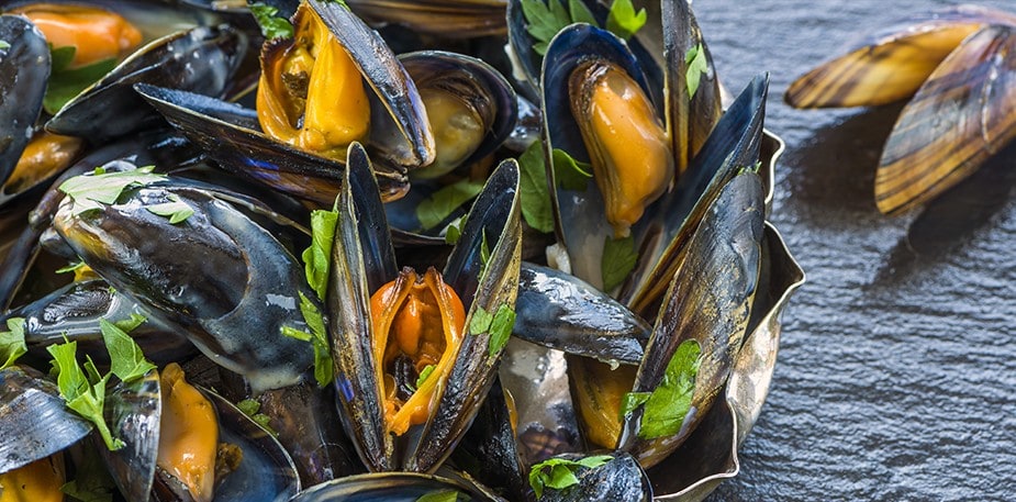 Τα μύδια στη διατροφή μας