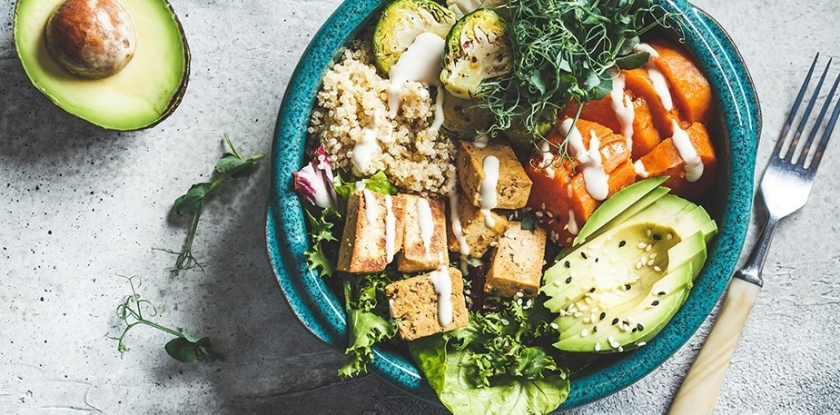 Οι Vegan προτάσεις της UFS 🌱