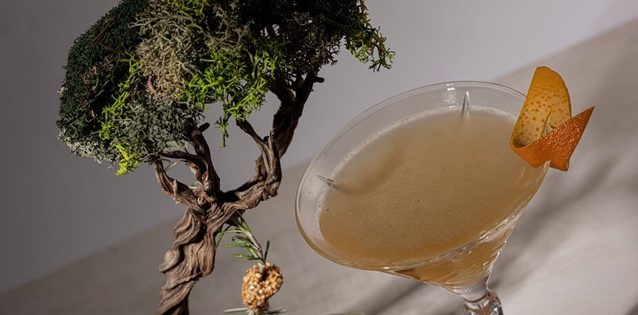 Fermentation Elements & Liquid Gastronomy